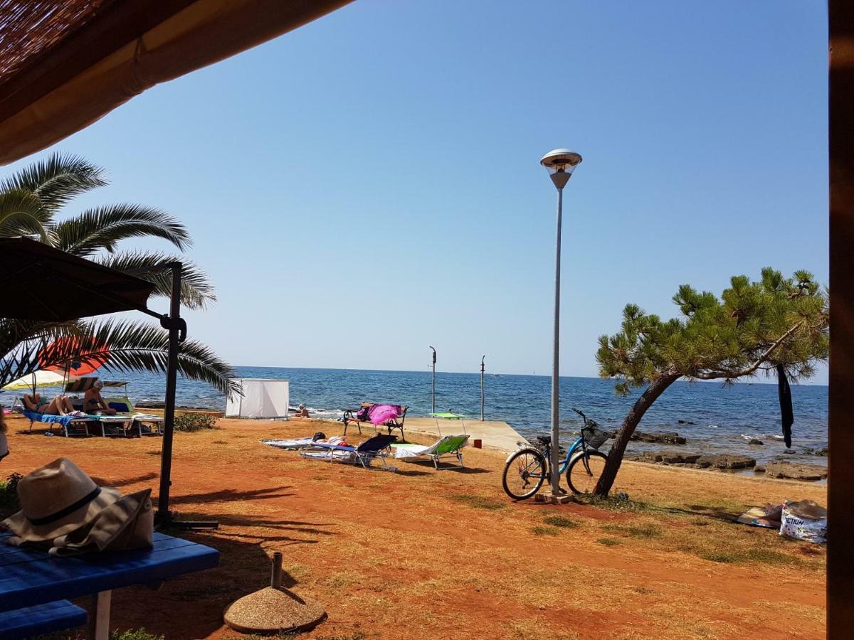 Apartment Beachfront Palma